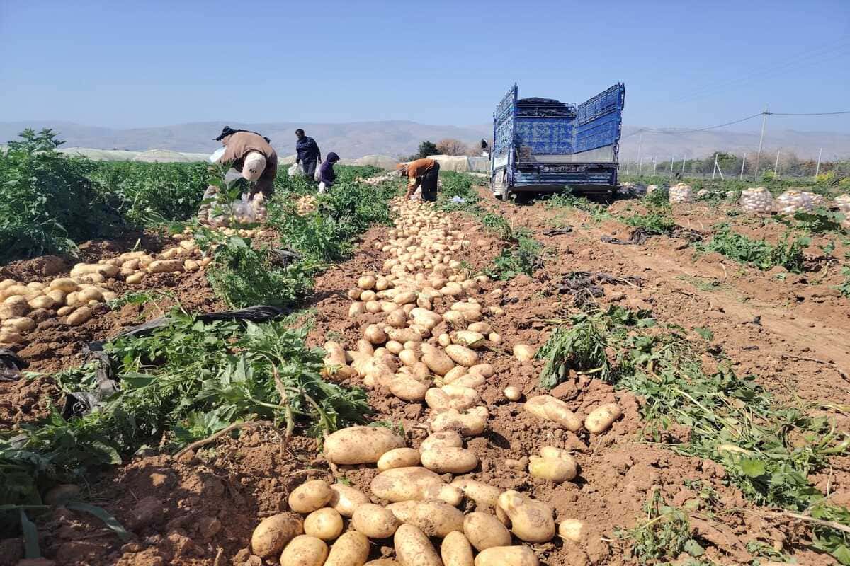 jordan_valley_pilots_3